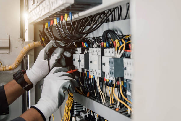 Best Electric Panel Repair  in Mascotte, FL